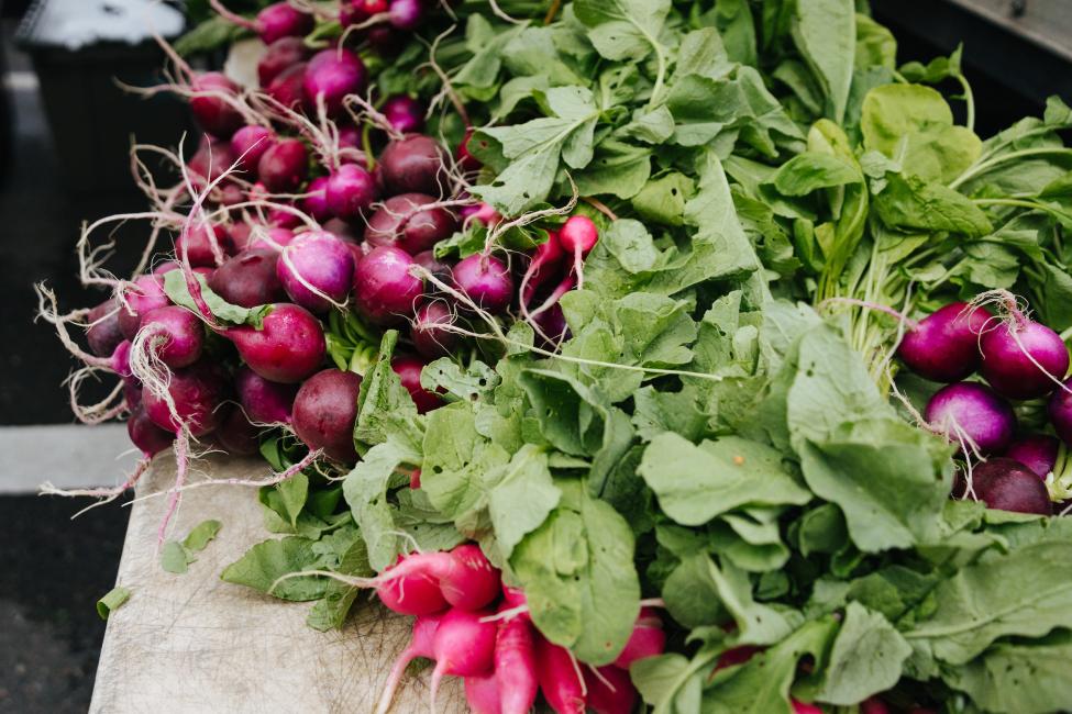Bunches of radishes