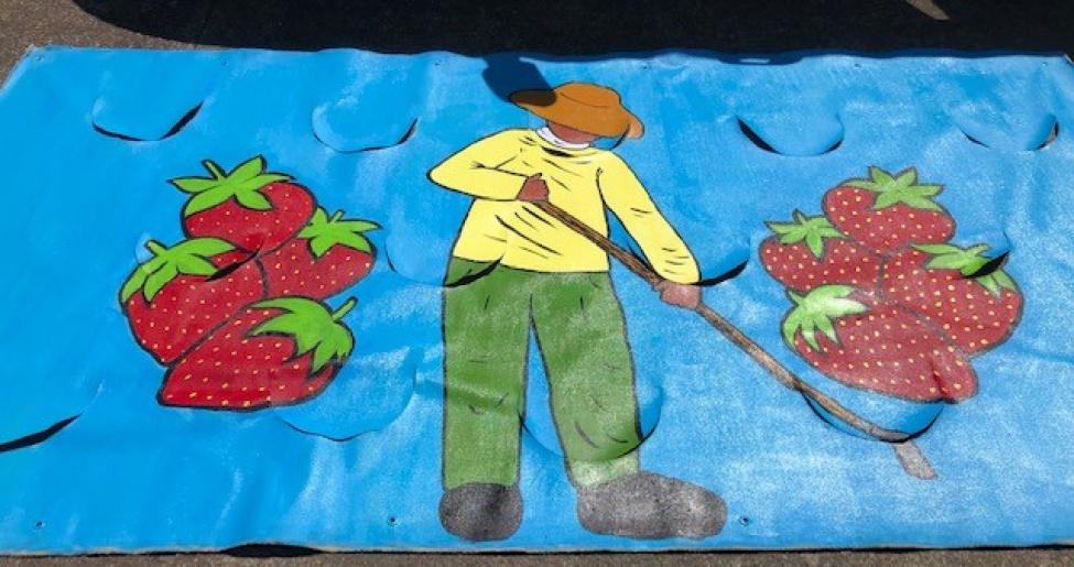 A drawing of a farmer cultivating Strawberries