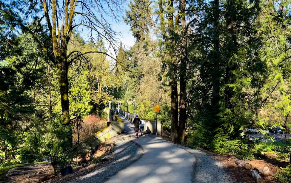 Trees line a paved trail in Seattle's arboretum park