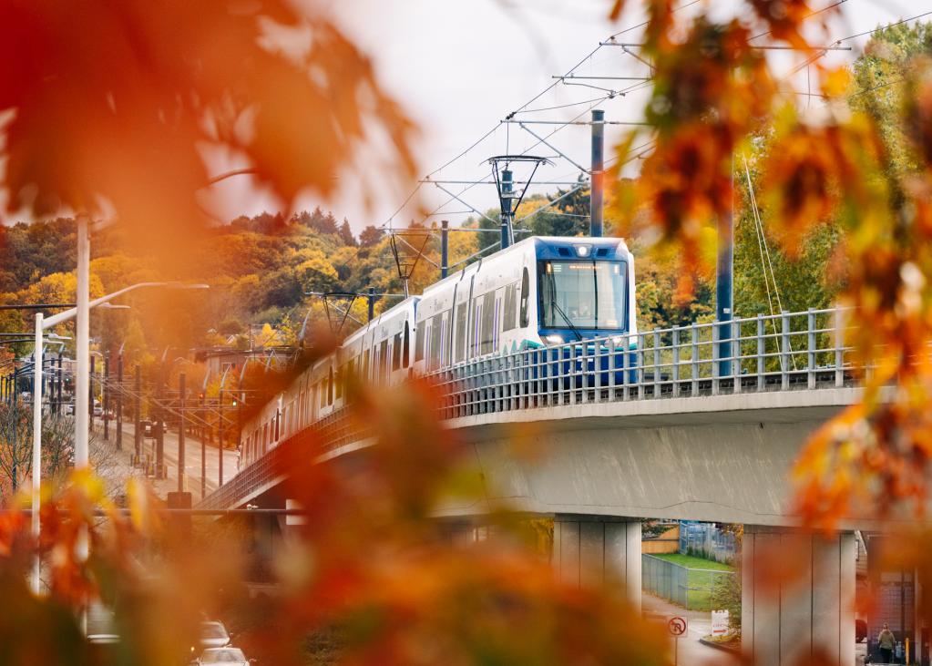 A Link light rail train framed by fall foliage as it rolls from Mt. Baker Station heading south through the Rainier Valley in Seattle. 